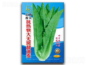 �������-�����˷N��-�}�ʷN�I(y��)