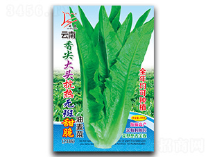 �����^����o�����������-�����˷N��-�}�ʷN�I(y��)