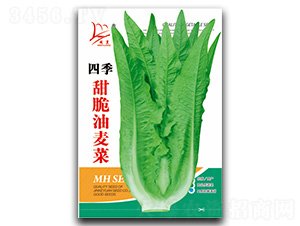 ���������-�����˷N��-�}�ʷN�I(y��)