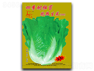 �ļ��ͳ�̦��������-���˷N��-�}�ʷN�I(y��)