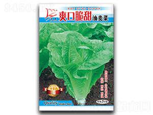 ˬ�ڴ���������-�����˷N��-�}�ʷN�I(y��)