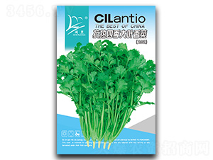 �����ļ����~���-��˷N��-�}�ʷN�I(y��)