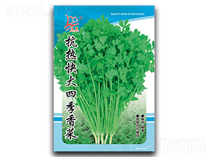 �������ļ����-��˷N��-�}�ʷN�I(y��)