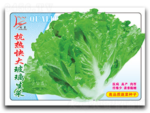 ������������-���˷N��-�}�ʷN�I(y��)