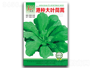 �۷N���~����-����N��-�}�ʷN�I(y��)