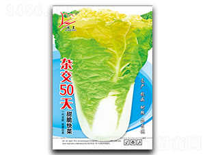 �s��50��-��˷N��-�}�ʷN�I(y��)