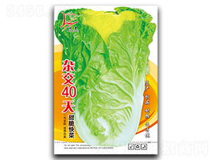 �s��40��-��˷N��-�}�ʷN�I(y��)