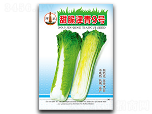 ������9̖-�ײ˷N��-�}�ʷN�I(y��)