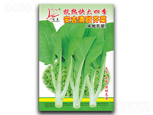 ����������-��˷N��-�}�ʷN�I(y��)