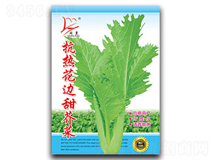 ���Ứ߅����-��˷N��-�}�ʷN�I(y��)