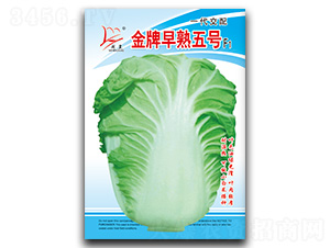 ����������̖-�ײ˷N��-�}�ʷN�I(y��)