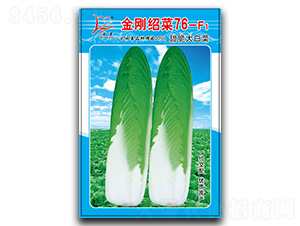 �����B��76-F1-�B�˷N��-�}�ʷN�I(y��)