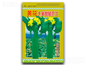 �S����S�����m-���m�N��-�}�ʷN�I(y��)