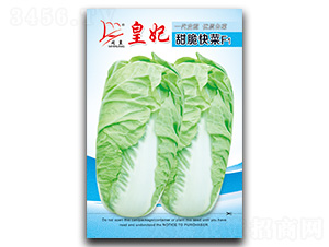 ���������-��˷N��-�}�ʷN�I(y��)