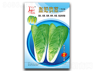 �������-��˷N��-�}�ʷN�I(y��)