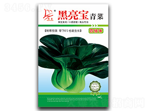 ������-��˷N��-�}�ʷN�I(y��)