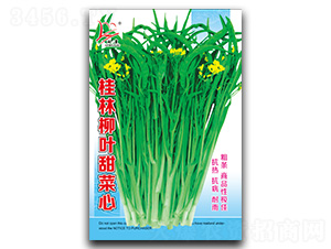 ����Ҭ�~�����-���ķN��-�}�ʷN�I(y��)