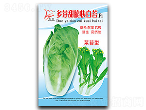 ��ѿ�����̦-��̦�N��-�}�ʷN�I(y��)