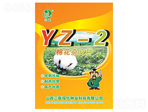 �޻��s���NYZ-2-��(li��n)