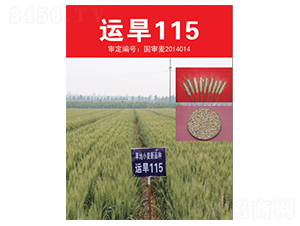 �\(y��n)��115-С���N��-��(li��n)