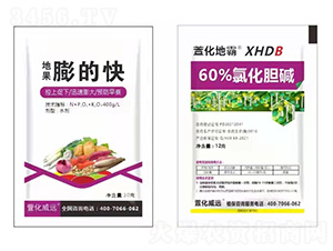 �Ȼ�đ�A+�ع���Ŀ�-�滯�ذ�-�滯���h