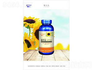 �������àI�B(y��ng)�{(di��o)��(ji��)��-�����^-һ����