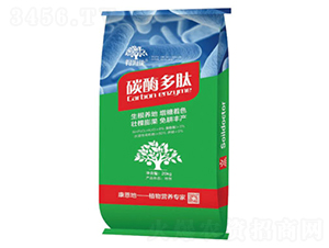 ̼ø����-�ú���-������