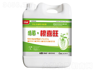 �������ϲ��-�ú���-������