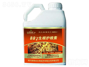 887�����o(h��)����-�ú���-������