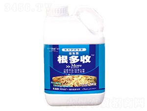 ������-�ú���-������