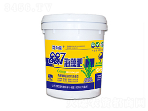 887�����-������