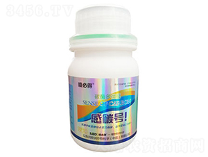 ̼ø��΢��-�Ї@̖(h��o)-������ 