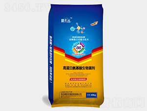 �ߵ��װ������������-��SԪ-���l(f��)����