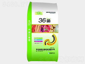 36��΢�������-��SԪ-���l(f��)����