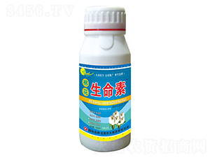 �޻������{(di��o)��(ji��)��-�޻�������-�����r(n��ng)��