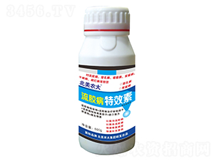 ���z����Ч��-�����r(n��ng)��