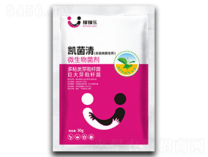 ̿�Ҳ�������΢�������-�P����-�ڼژ�