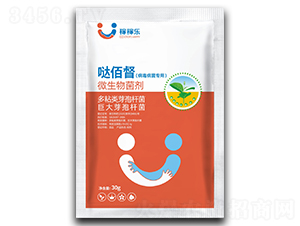 ������������΢�������-�}�۶�-�ڼژ�