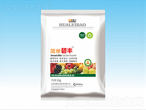 �V�V����⛷�-���α��S-���ٌ�����