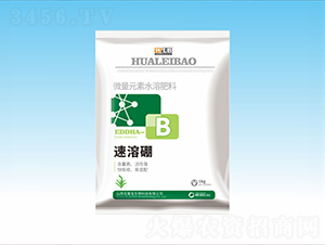 ������-���ٌ�����