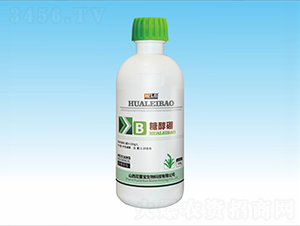 �Ǵ���-���ٌ�����