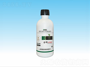 500g����ֲ��ˮ�ܷ���-����߯����-���ٌ�����