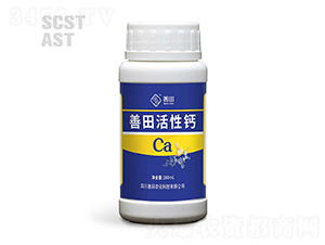 �����}-����