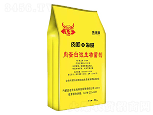 �⵰��΢�������-��ţ-Ҳţ����