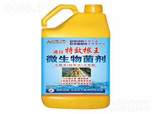 �M(j��n)����Ч����-�����r(n��ng)��