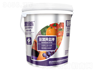 ����S���-������-���՘�