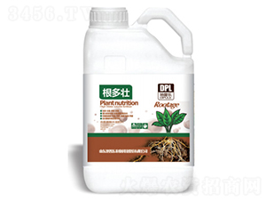 ������-������-���՘�