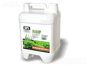 �����-������-���՘�