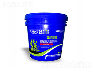 ̼�ܺ��塤��������n���-���ؠ�-���՘�