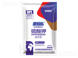 �����-������-���՘�